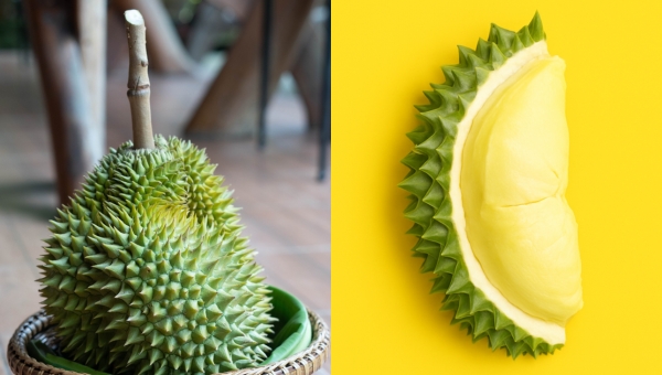 Image20260219-wgs-wes